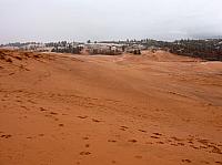 coral pink dunes (2).JPG